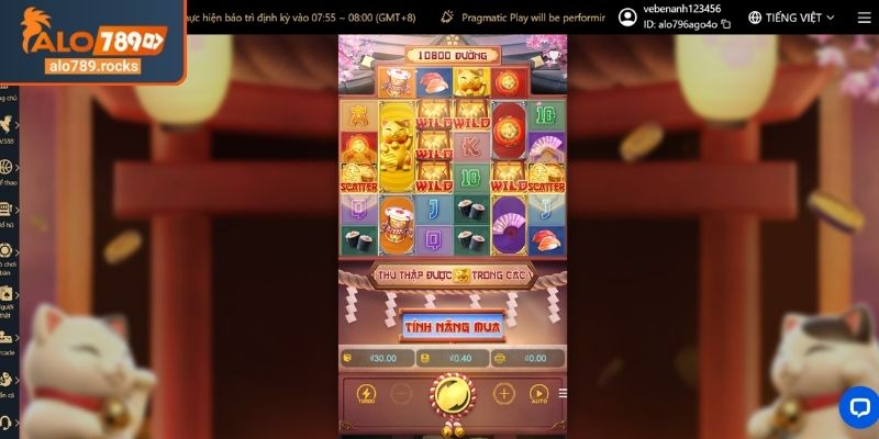 Lucky Neko ALO789 Cơ Hội Trúng Thưởng Lớn Dành Cho Bạn 3 Bí quyết tăng cơ hội thắng trong Lucky Neko ALO789